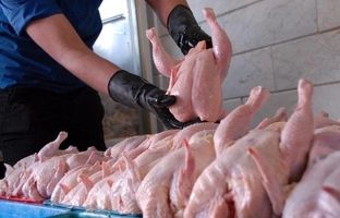 راهنمای بازار؛ قیمت گوشت مرغ، امروز ۷ اردیبهشت ۱۴۰۴