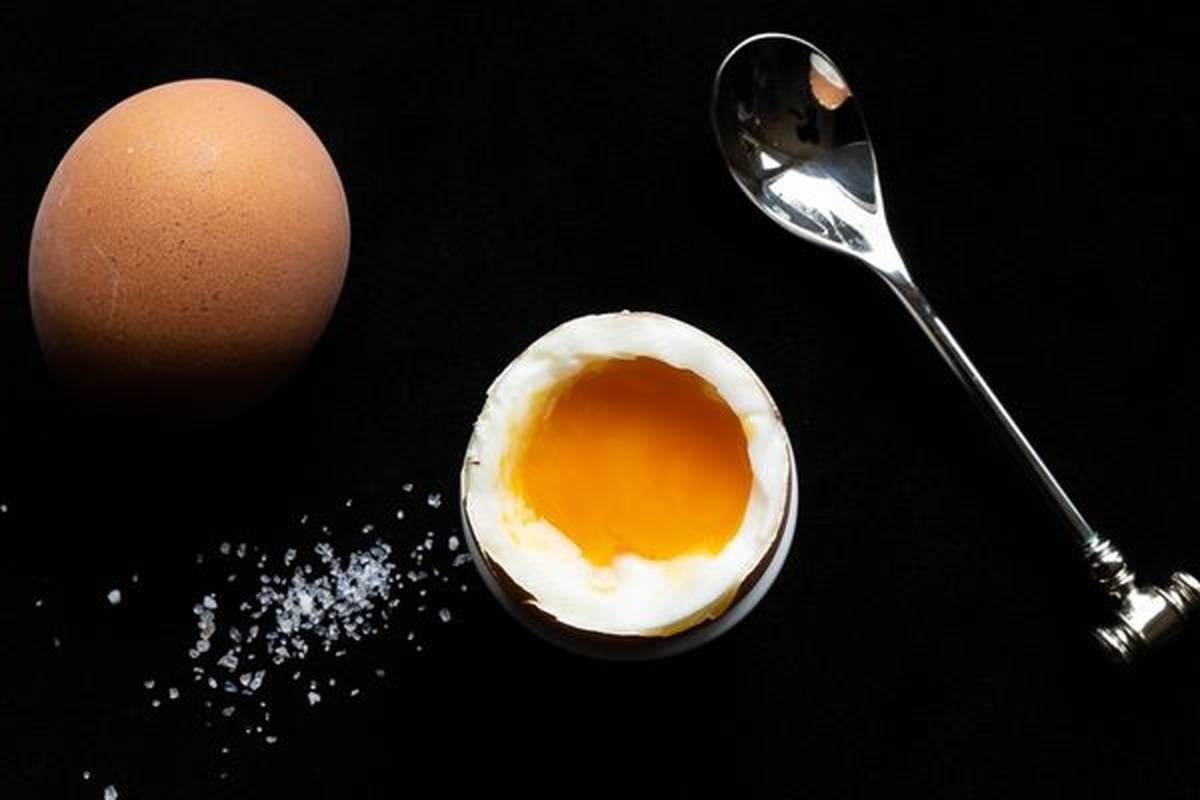 دانشمندان روش درست «آبپز کردن تخممرغ» را کشف کردند