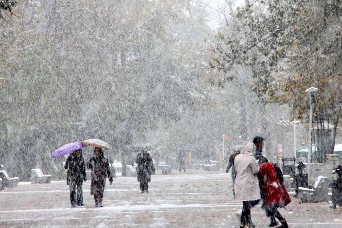 جزییات تعطیلی مدارس کشور در یکشنبه ۹دی