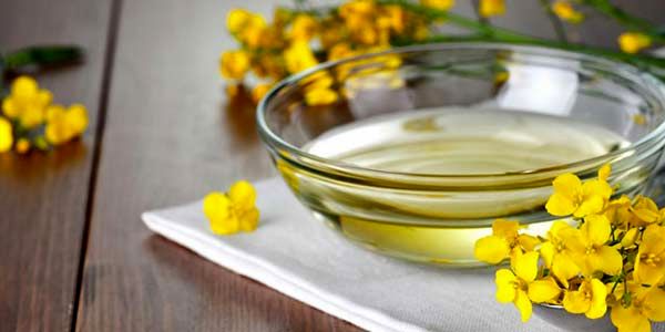 خواص روغن گل مغربی چیست؟ بررسی ۴ خاصیت باورنکردنی آن
