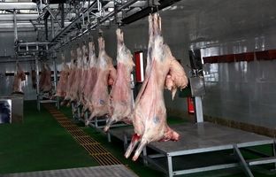 قیمت گوشت قرمز، امروز چهارشنبه ۱۰ بهمن ۱۴۰۳
