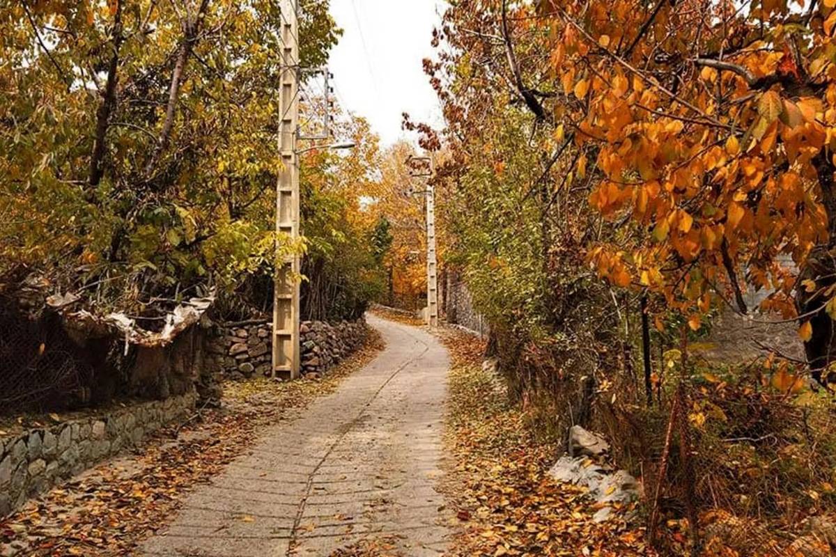 سفر به روستای افجه؛ سرزمین باغها و میوههای بهشتی