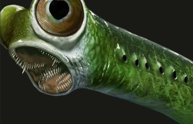 تیزترین «دندان» تاریخ متعلق به این جانور منقرض‌شده‌ است