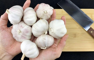 بهترین روش پوست کندن سیر / ایده خورد کردن و پوست گرفتن سیر برای بو نگرفتن دست + ویدئو