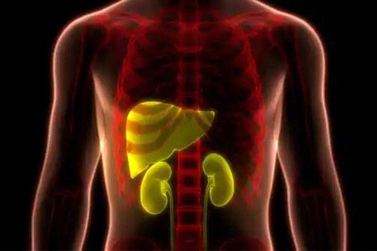 معجونهایی برای سمزدایی کبد و کلیه