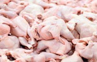 قیمت گوشت مرغ، امروز ۳ مهر ۱۴۰۳