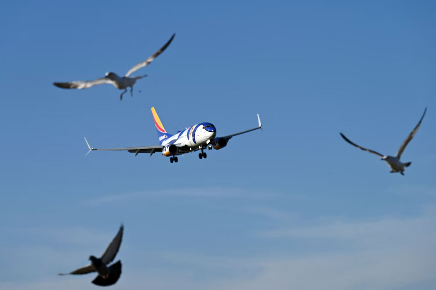  برخورد پرنده با بوئینگِ در حال فرود در مهرآباد + ویدئو