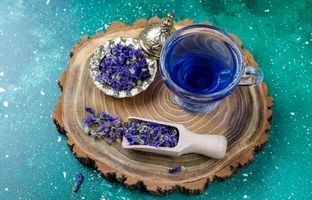 گلی با خواص شفابخشی 