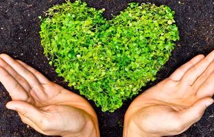 ۱۰ تغییر کوچک برای نجات بزرگ: چطور خانه و زندگی‌تان را سبزتر کنید؟