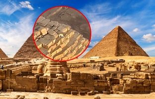 عاقبت سگ بازیگوشی که بالای هرم جیزه می دویید چه شد؟ + ویدئو