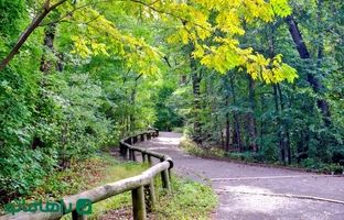 خنک‌ترین پارک‌های مشهد برای تفریح گشت و گذار تابستانه