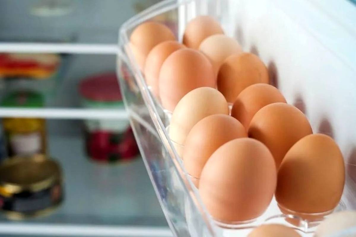 آیا قرار دادن تخممرغها به شکل برعکس، آنها را برای مدت طولانیتری تازه نگه میدارد؟