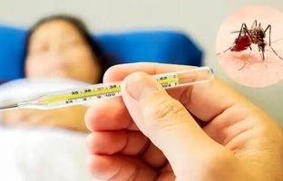تب دنگی چقدر خطرناک است؟/ این افراد نوع شدید دنگی را می‌گیرند