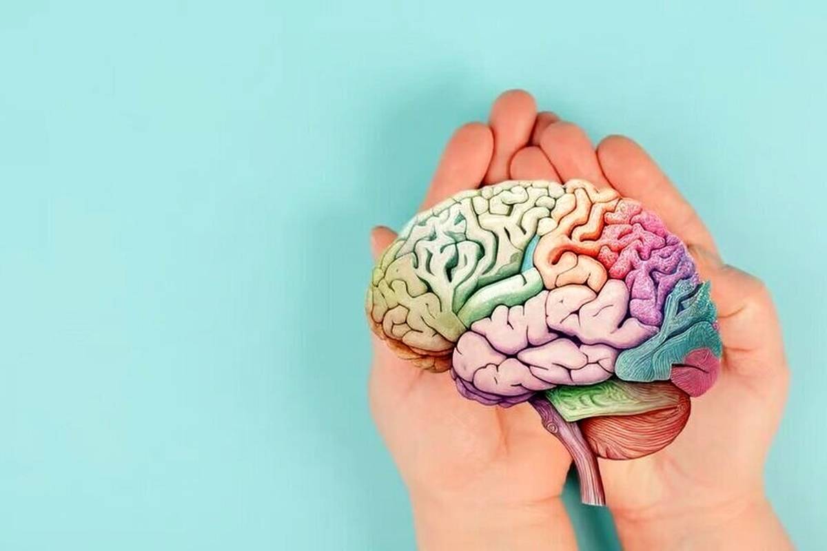 ۶ خوراکی برای زنده کردن مغز