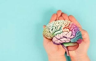 ۶ خوراکی برای زنده کردن مغز