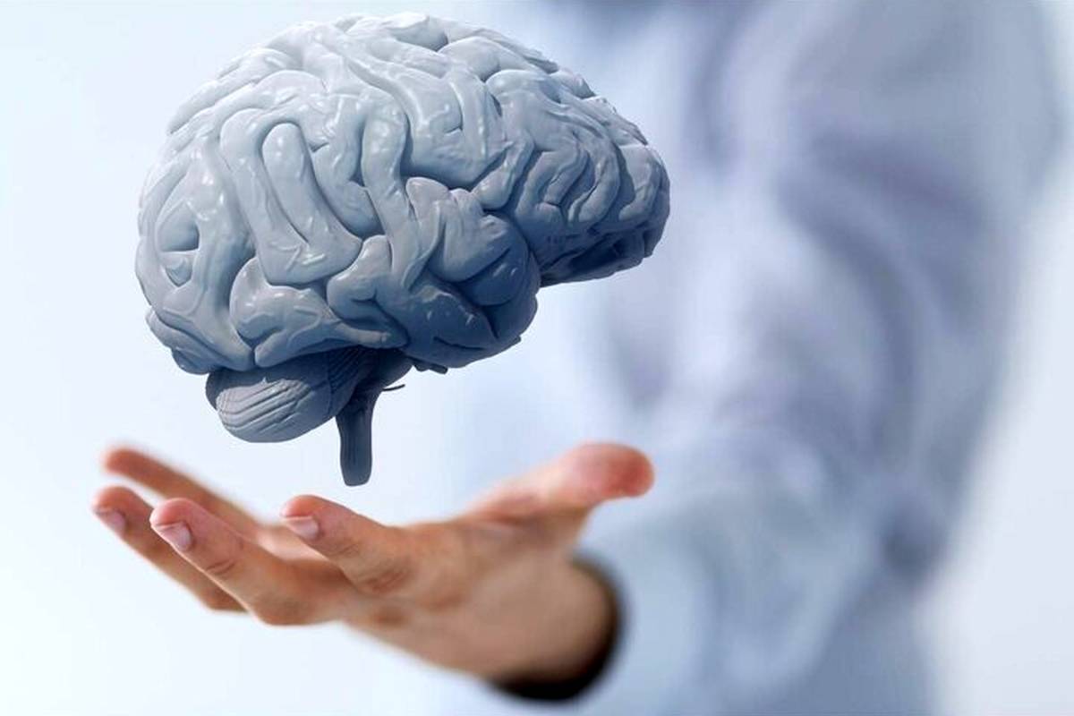 بهترین میوهها برای بهبود ضریب هوشی