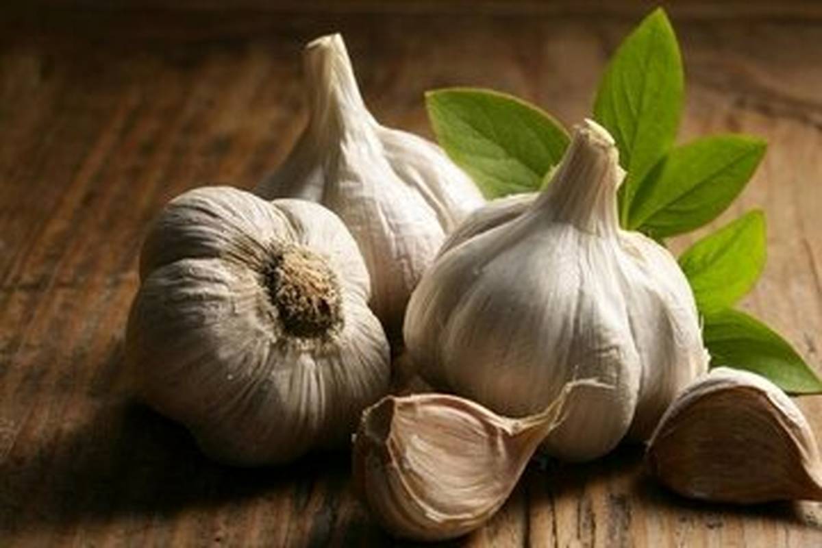 اثر شگفتانگیز سیر در جلوگیری از ابتلا به این بیماریها