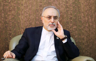اظهارات جدید علی اکبر صالحی درباره بتن‌ریزی در راکتور اراک