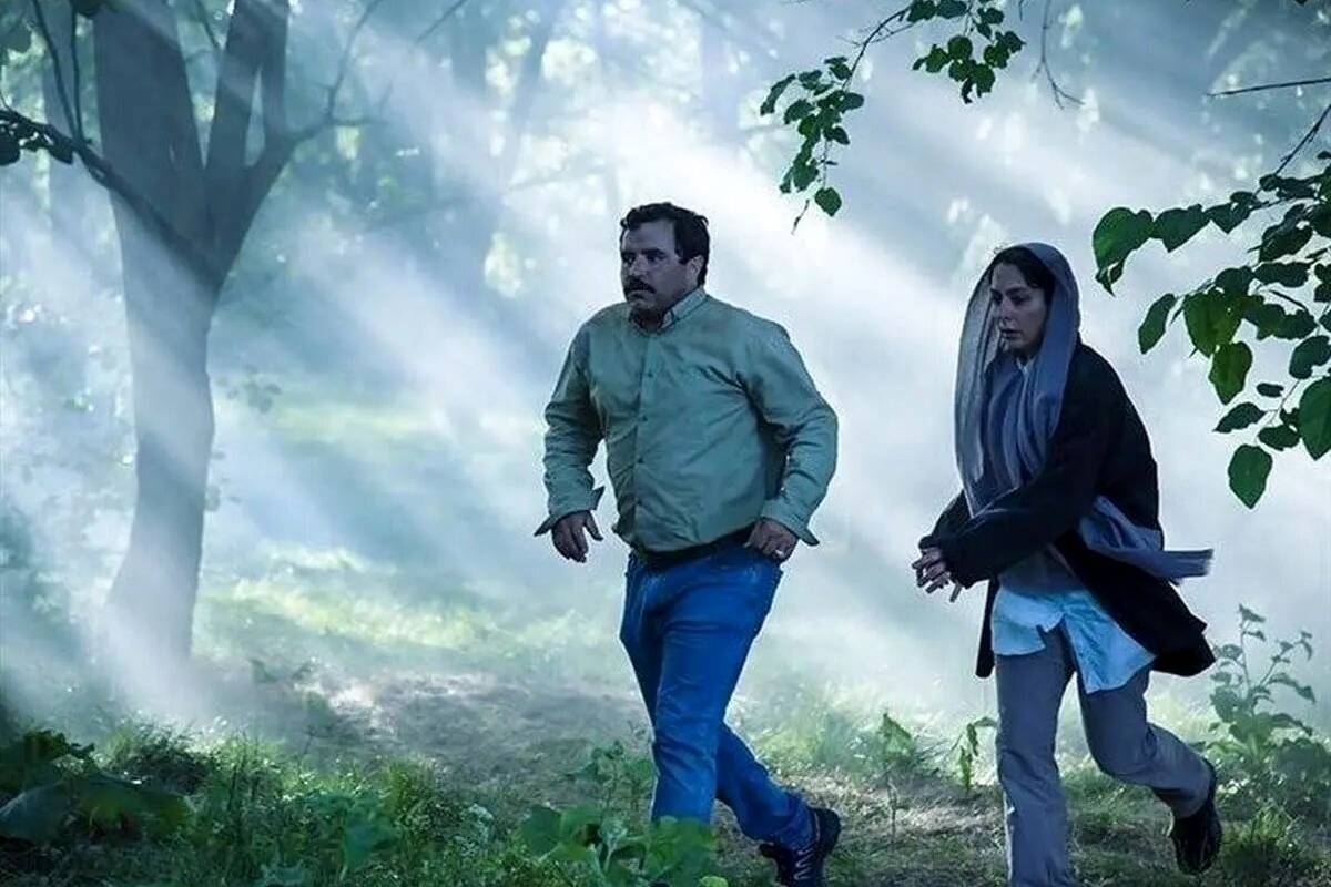 «در آغوش درخت» از ایران به اسکار ۲۰۲۵ معرفی شد