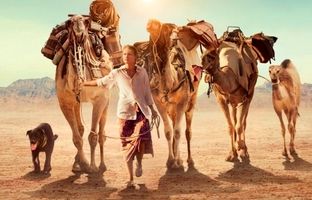 بهترین فیلم ها برای سفر های نوروزی
