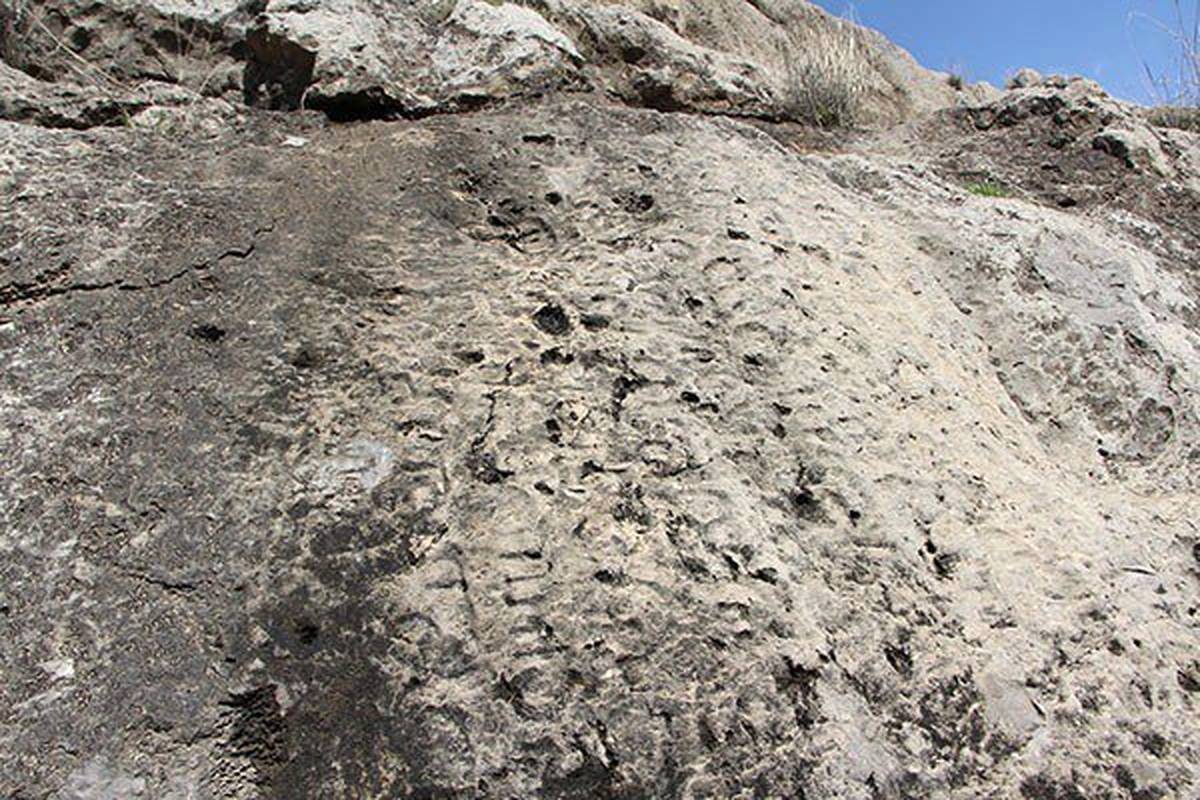 خوانش بخشهایی از کتیبه ساسانی که در حال غرق شدن است