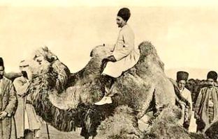 بیشترین ترافیک شترها در تهران قدیم در این خیابان بود + تصویر