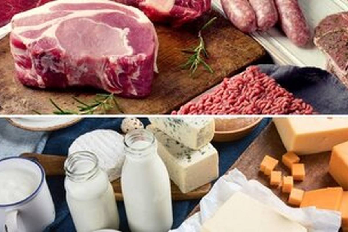 گوشت گاو طبع سرد دارد؟/ گوشت شتر؛ خوب یا بد؟